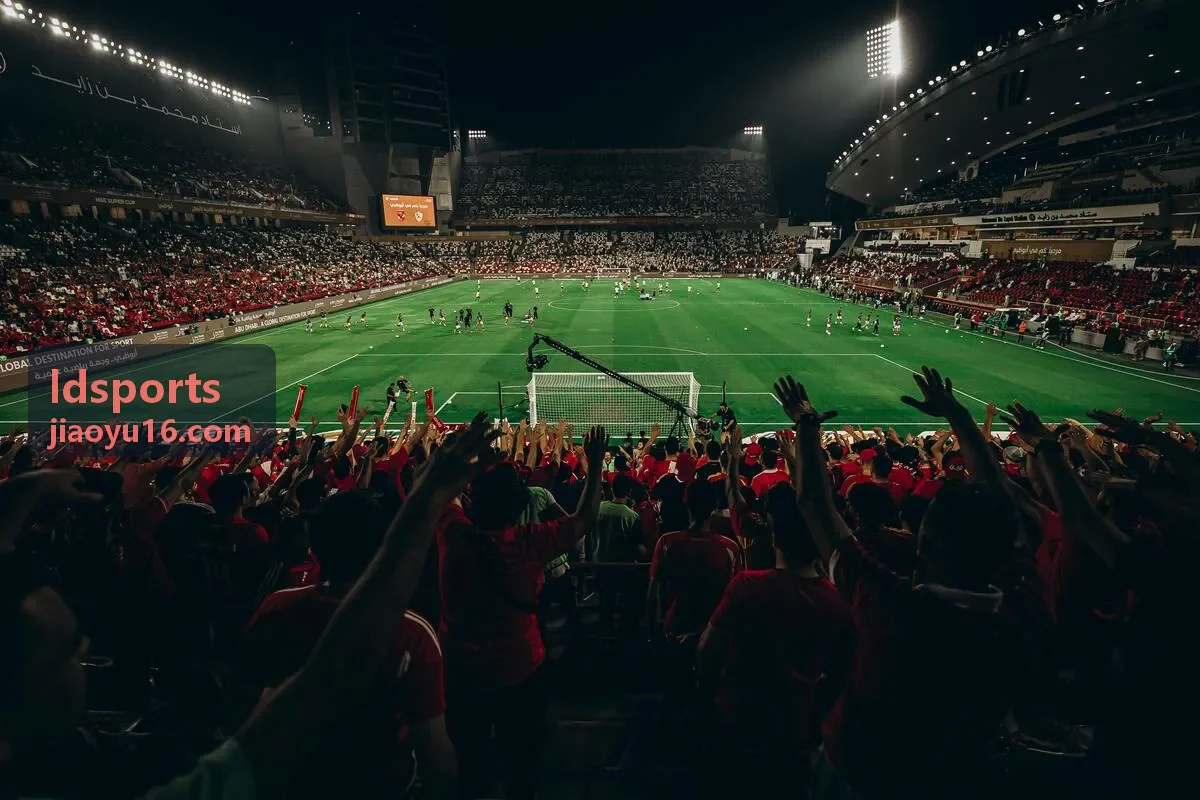 ldsports 青训梯队训练课表编排场景